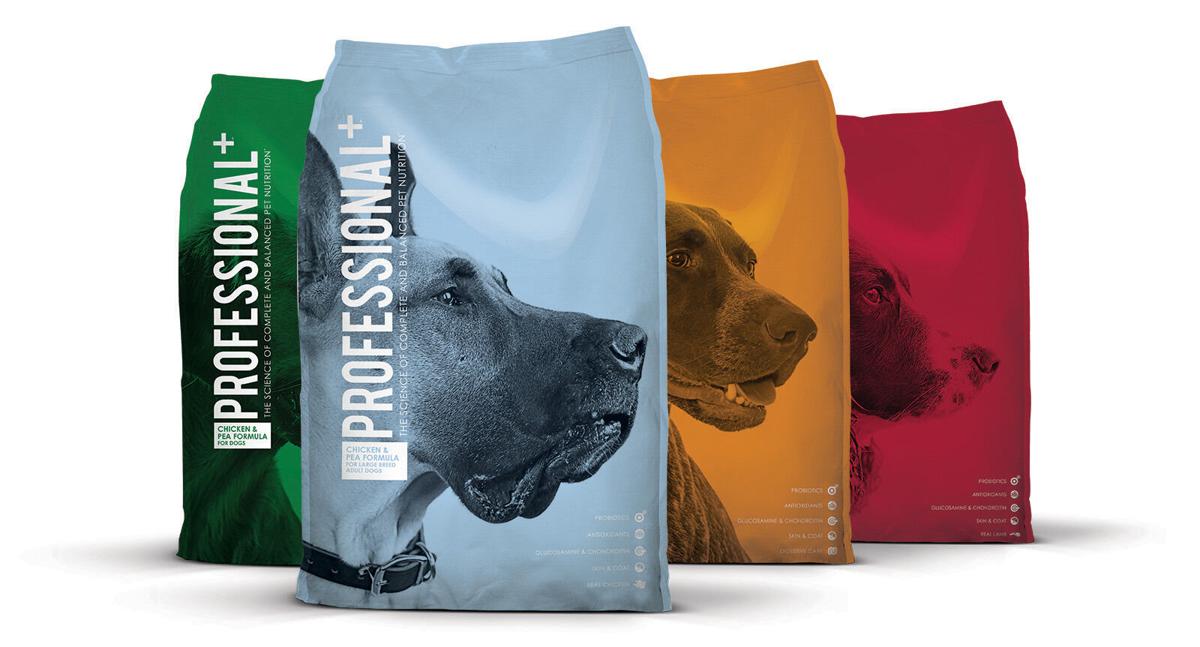 marque%20professional